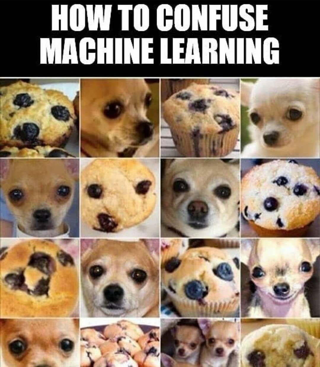 Machine Learning